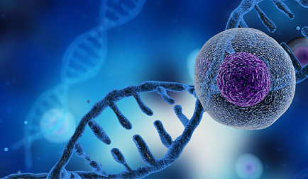 The Science, The Benefits, and The Lifestyle Foundation for Lasting Health The Science, The Benefits, and The Lifestyle Foundation for Lasting Health
